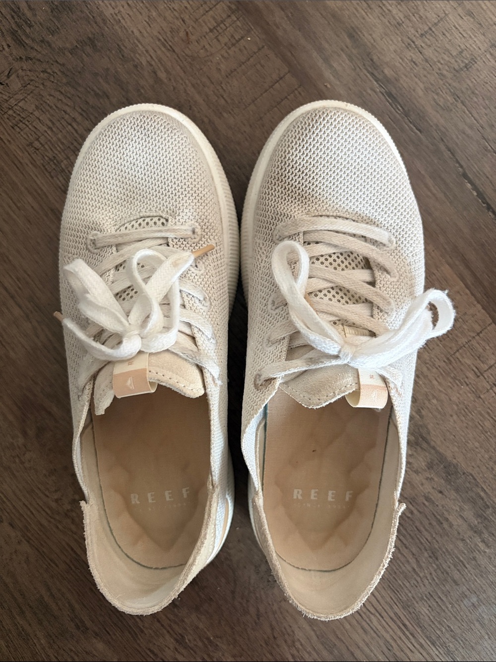 Reef knit sneakers